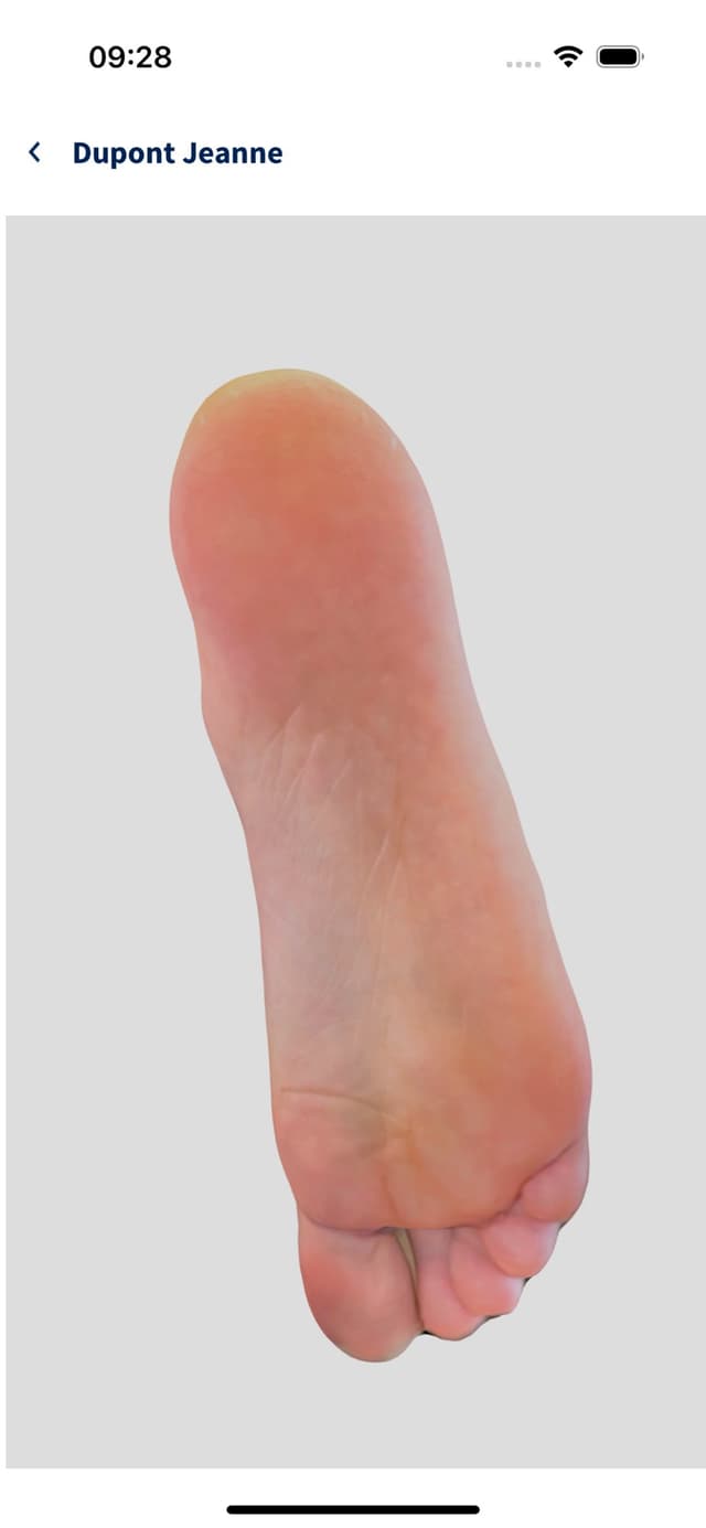 Holistep 360 - Modele 3D du pied